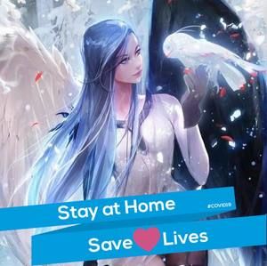 Meet your Posher, Carmen